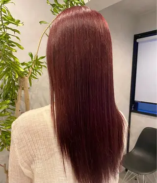 カラー 白井 音羽のヘアスタイル