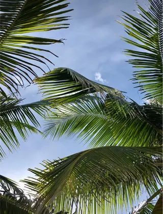 🫧縮毛矯正／カラー ／bless松浦🫧のヘアスタイル