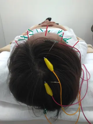 ネイル マツエク・マツパ 美容鍼専門 ハリエンジュのエステ・リラクイメージ