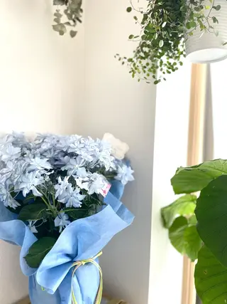 MoonLeaf ashiyaのエステ・リラクイメージ