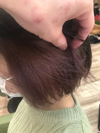 ショート カラー dogstar小林諒 パーマ/レイヤーのヘアスタイル