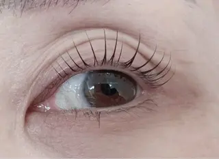 マツエク・マツパ ☆CHERIE. nunuro‎本町☆のマツエク・マツパデザイン