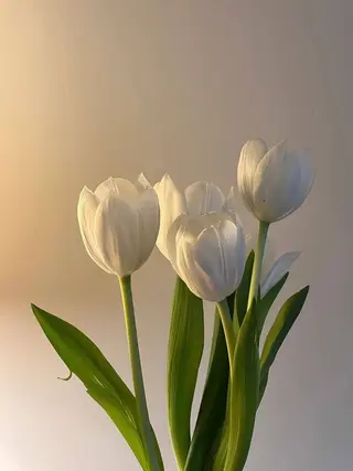 マツエク・マツパ トップアイリスト♡ sayaのマツエク・マツパデザイン