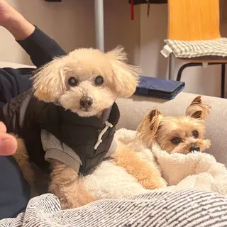 ネイル U eのネイルデザイン