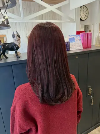 セミロング カラー 田村 亜衣華のヘアスタイル