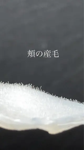 アイブロウ 【薬院】まつげ 眉毛のマツエク・マツパデザイン