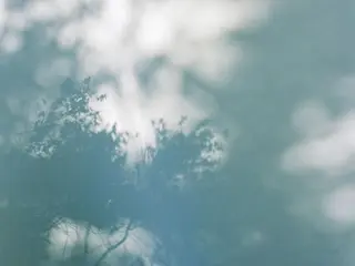 ネイル S. Ishiuchiのネイルデザイン