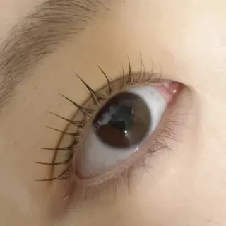 マツエク・マツパ eyelash CREAのマツエク・マツパデザイン