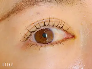 マツエク・マツパ TERRA MAYUのマツエク・マツパデザイン