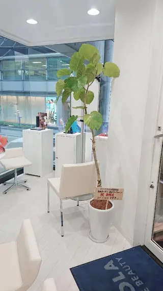 POLA THE BEAUTY心斎橋御堂筋所属・美肌/小顔☆POLA 心斎橋御堂筋店のエステ・リラクイメージ