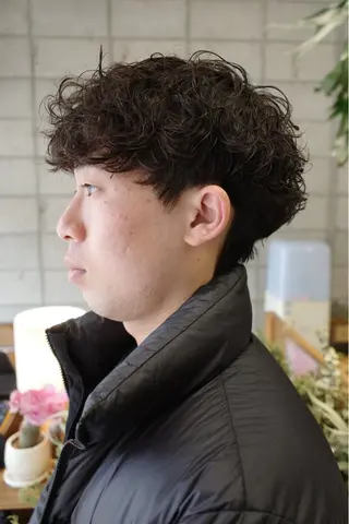 ショート パーマ メンズ パーマ/メンズ/ 鮫島竜海のヘアスタイル