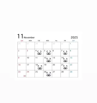 ミディアム MIREI /韓国風 ショート/大阪美容室のヘアスタイル