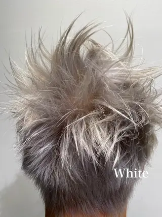 カラー デザインカラーウルフ 宙也のヘアスタイル