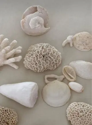 🫧縮毛矯正／カラー ／bless松浦🫧のヘアスタイル