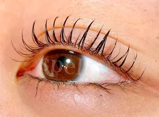 マツエク・マツパ spell eyelashのマツエク・マツパデザイン