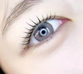 マツエク・マツパ 🎀eyelist. mizuki🐈‍⬛の眉毛・アイブロウイメージ