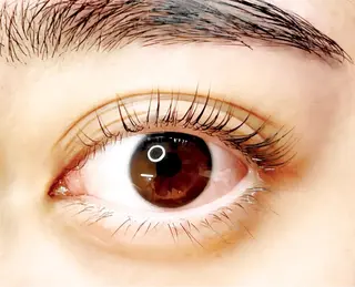 マツエク・マツパ アイラッシュ ザクア渋谷店のマツエク・マツパデザイン