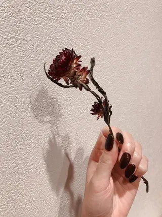 ネイル Calin カランのマツエク・マツパデザイン