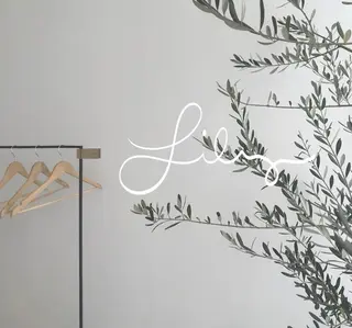 マツエク・マツパ Lily seilaのマツエク・マツパデザイン