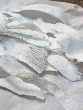  SOLEIL 小玉の眉毛・アイブロウイメージ