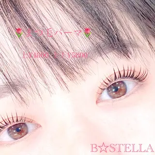 マツエク・マツパ HAYASAKA 韓国風/束感/パリのマツエク・マツパデザイン