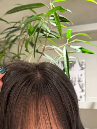 カラー MOMO ★のヘアスタイル