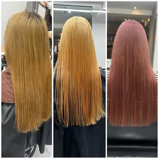 ロング カラー ショート/ウルフ カットモデル募集のヘアスタイル