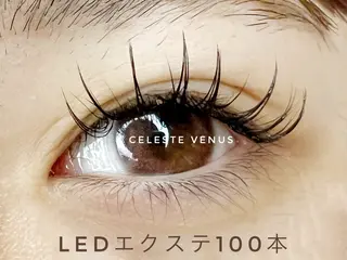 マツエク・マツパ 🧸Celeste Venusのマツエク・マツパデザイン