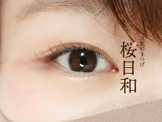 マツエク・マツパ 京都のまつげ桜日和 小島美桜のマツエク・マツパデザイン