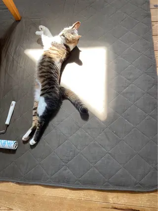 Spiky とうげ ふうかのネイルデザイン