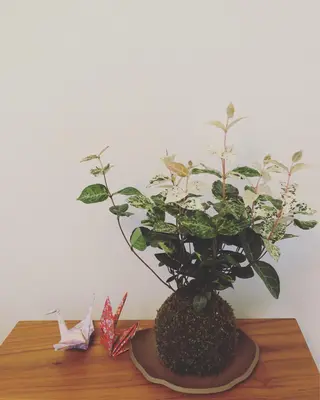 フットマ くぼいのエステ・リラクイメージ