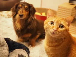 ネイル kiki nail &brow二子玉川の眉毛・アイブロウイメージ