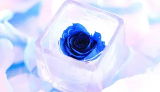 - MANA-のマツエク・マツパデザイン