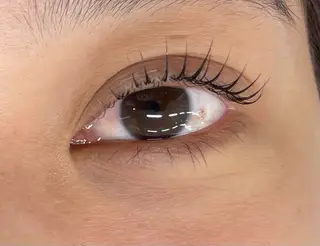 マツエク・マツパ マリーテレジア 🌻RUKAのマツエク・マツパデザイン