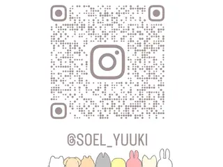 マツエク・マツパ SOEL 🍓yu-kiのマツエク・マツパデザイン