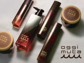 レナ🧸‪🤎 アメリシュシュのヘアスタイル