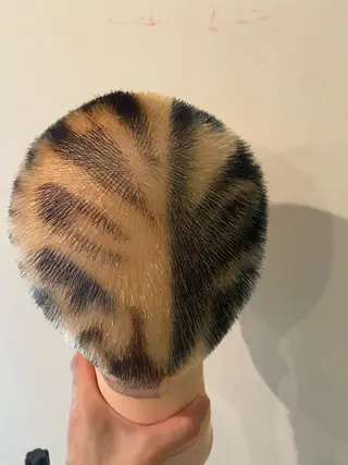 カラー 井上 歩美のヘアスタイル