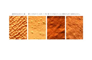 肌能力回復専門店 小寺綾のエステ・リラクイメージ