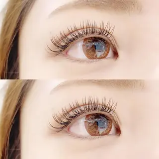 マツエク・マツパ eyelash "Koa"🕊🤎のマツエク・マツパデザイン