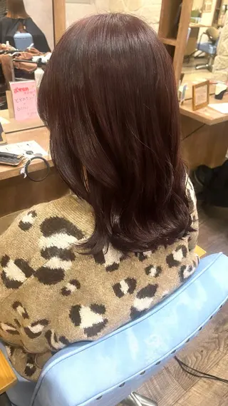 ミディアム 🎀ツヤ髪/レイヤー /ボブ/hana🎀のヘアスタイル