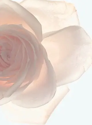 Fuwari Momiのエステ・リラクイメージ