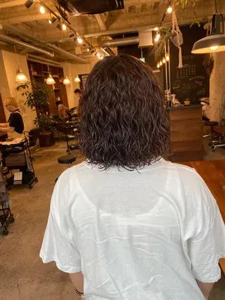 ショート パーマ the BRIDGE 加藤みのりのヘアスタイル