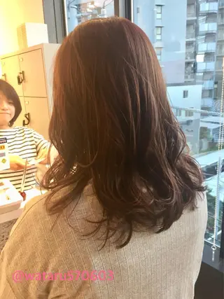 セミロング 所渉/韓国レイヤー /ウルフカットのヘアスタイル