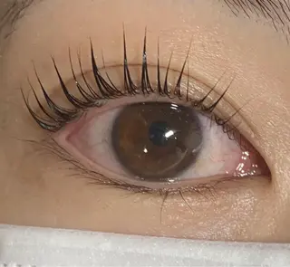 マツエク・マツパ 豊田 有香のマツエク・マツパデザイン