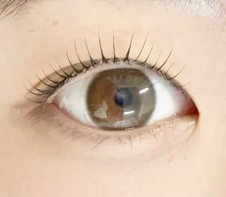 マツエク・マツパ haruka 【ever天神店】のマツエク・マツパデザイン