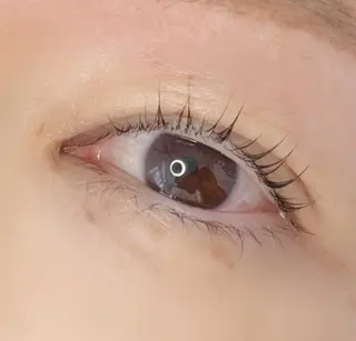 マツエク・マツパ 《eyelash ｉｉｔｅ》森のマツエク・マツパデザイン