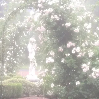 🎀マリーテレジア OKAZAWA🎀のマツエク・マツパデザイン