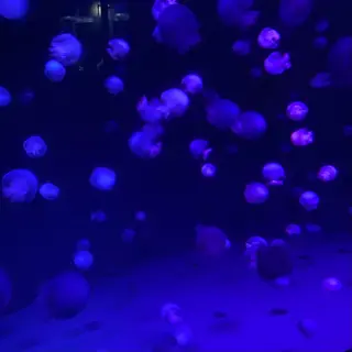 TIDEHAIR SHIHOのヘアスタイル