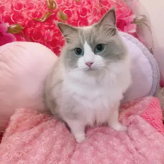 USAMiMi 🐰💕のネイルデザイン