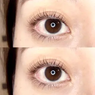 マツエク・マツパ 《eyelash ｉｉｔｅ》森のマツエク・マツパデザイン